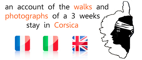 lots of information for organizing your holidays in Corsica